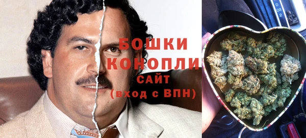 PSILOCYBIN Абинск