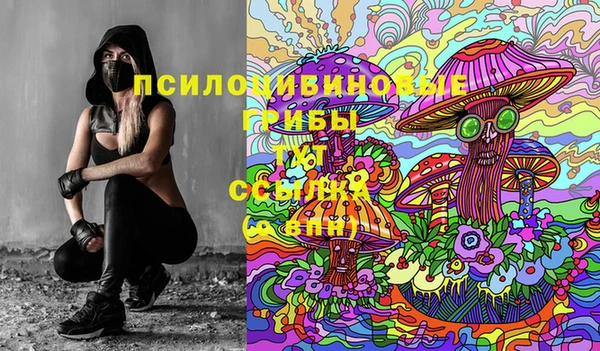 соль ск Абаза