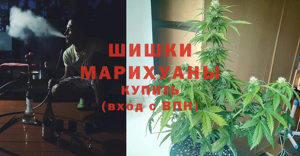 PSILOCYBIN Абинск